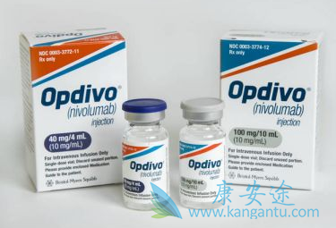 纳武单抗 纳武单抗