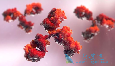 伊匹木单抗 伊匹木单抗