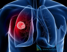 EGFRͻ�������ת�Ƶķ�Сϸ���ΰ�����Ӧ���ȳ԰���ҩ��������ƣ�