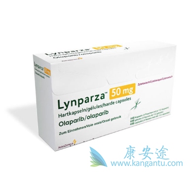 PARP抑制剂 PARP抑制剂