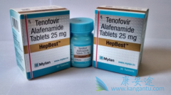 �Ҹ���ҩ��ŵ��Τ����(Hep Best)�����������Ҹ�����ʲô����֮��