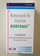 ��������(BORTENT)���ҹ����к��ܸı�����������ƾ�����