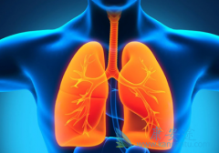 ��������(Alecensa)/��������Էΰ���ת�ƵĿ���Զ���ڿ�������