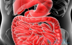 ��ֱ����һ�����ƽ�չ������Ī¬����(Cyramza)�ܸ���Ԥ����