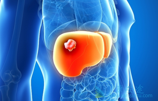 雷莫卢单抗 雷莫卢单抗