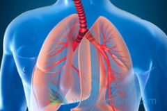 ����᲼(nintednib)�����ط��Է���ά������Ч�õ��˹���ָ���Ͽ�