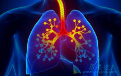 ����᲼(cyendiv)���Գ���ά���ط��Է���ά�����ߵļ�����չ