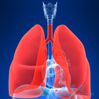 克唑替尼 克唑替尼