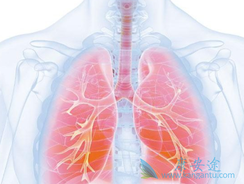 克唑替尼 克唑替尼