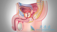 ��Щǰ���ٰ����߿��ԴӰ�������(Abiprapro)�л���