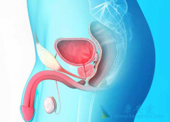 ����³��(enzalutamide)����ǰ���ٰ�����Щ����