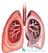 ������ͪ(pirfenex)�ܸ��Ʒΰ���ά���ߵĲ�����