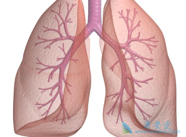 ������ͪ