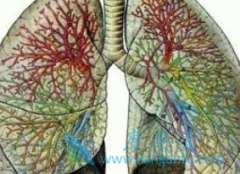 ����᲼(cyendiv)�����ܼ��������չ���ܽ���IPF���Լ��ط���