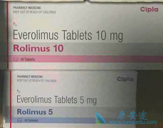 �о������й��������ߴ���άĪ˾(Everolimus)�л������
