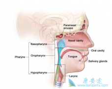 ����ҽҩ����PD-1���忨�����鵥�����Ʊ��ʰ�������Ч��