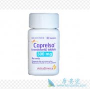 �������������Ī˾������ҩ�Խ���ĸϸ�������߰�ȫ��Ч