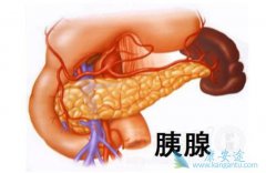 ԭ�������ٰ�֢״ͨ����������Щ����