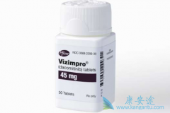 ����ȫ�¶���EGFR-TKI������ᣨVizimpro������һ�����Ʒΰ�