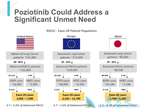 博奇替尼 博奇替尼