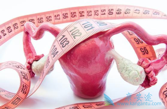 �����ѳ���