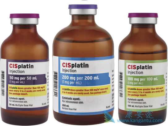 复发性卵巢癌患者 复发性卵巢癌患者