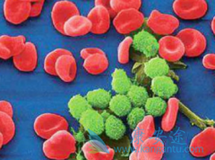 ������³����(Ibrutinib)һ���Ƴ̺󽵵�ҩ������Ӱ����Ч