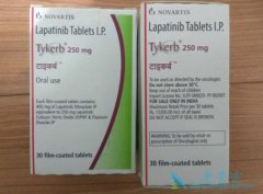 ������HER2�������ٰ�������ת����ʹ���������������ǿ���Ƶ�Ч��