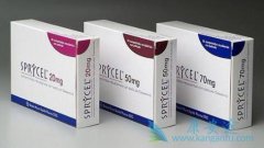 ��ɳ�������ƶ�ͯ������Ѫ������˾�����ͬ����Ч�Ͱ�ȫ��