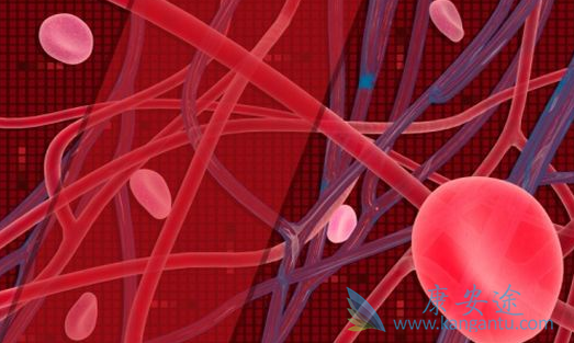 ������˾