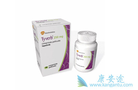 拉帕替尼 拉帕替尼