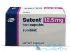 ������������̹/��������ȸ����غͻ���Ч������