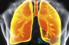 �ι��ܲ�ȫ�Ļ����ܷ�ʹ�ò�������(brigetin)�������ڷΰ�