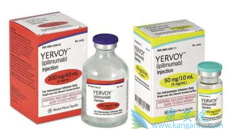 ��ƥľ����