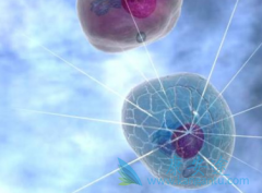 �ϼ�����³����(Ibrutix)�ı����ܰ�����������״