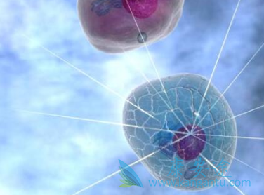 ��³����