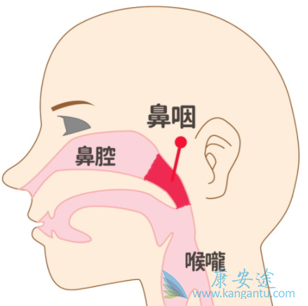 �����鵥��