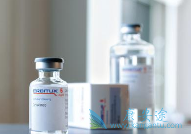 西妥昔单抗 西妥昔单抗