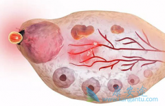 ������/��¡��Ů�Զ����ѳ������������Ƹ�����΢����΢