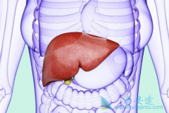 �������ƹ����л���Ҫ�������¼�����������κñ��͸���