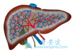 û�н��ֱ��������ճ������и���ô����͸��׻����ദ