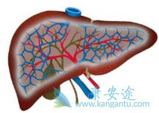 丙型肝炎 丙型肝炎