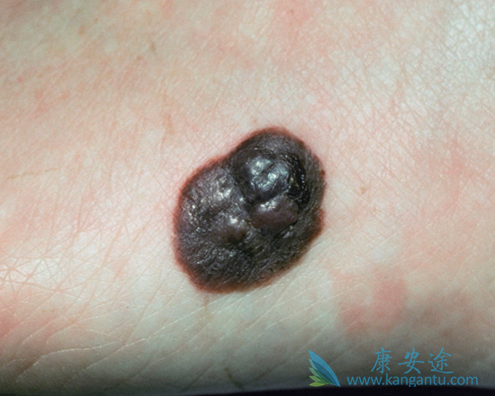 ��ɫ����