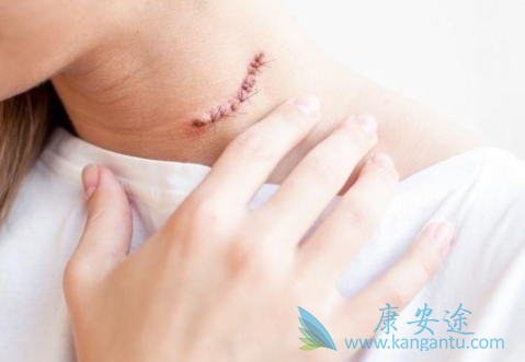 ��״����������