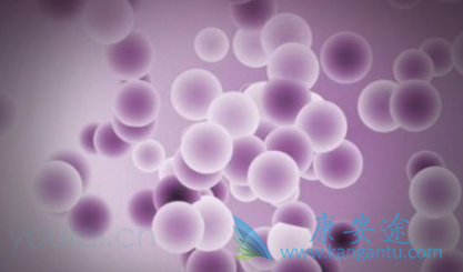 贝伐单抗 贝伐单抗