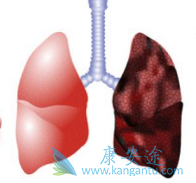 阿法替尼 阿法替尼