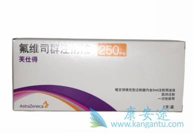 氟维司群 氟维司群