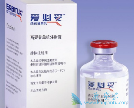 西妥昔单抗 西妥昔单抗