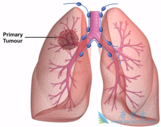 达克替尼 达克替尼