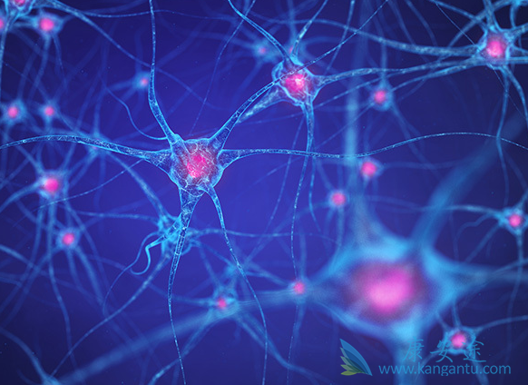 雷德帕斯 雷德帕斯